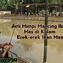 Mimpi Dapat Ikan Banyak Togel 4D